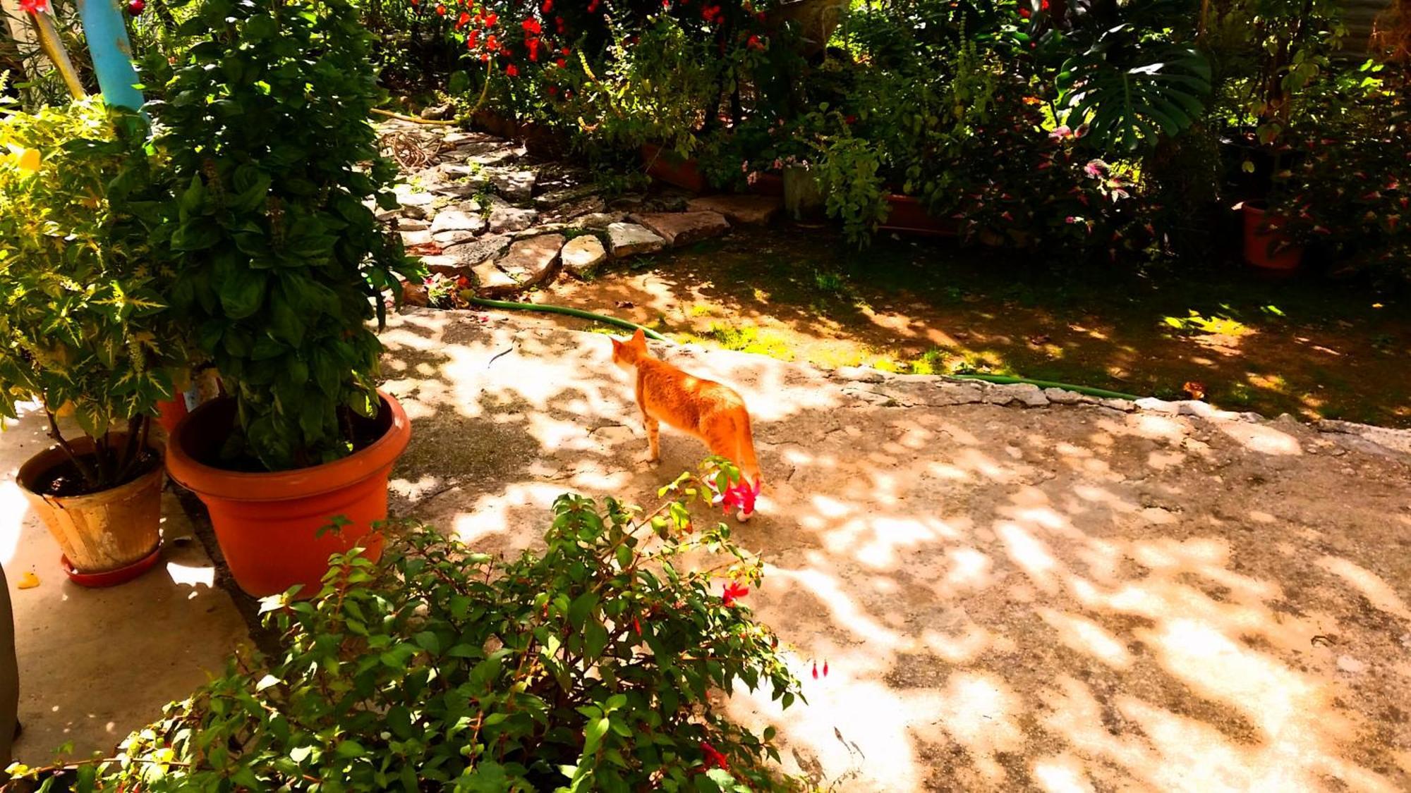 The Grandfather'S Room Himare Exterior photo